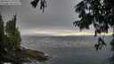 ./images/koeye/fitz-hugh/20250810/fitz-hugh20250810_192009M.jpg