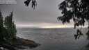 ./images/koeye/fitz-hugh/20250810/fitz-hugh20250810_192508M.jpg