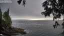 ./images/koeye/fitz-hugh/20250810/fitz-hugh20250810_193007M.jpg
