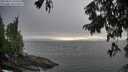 ./images/koeye/fitz-hugh/20250810/fitz-hugh20250810_193509M.jpg