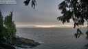 ./images/koeye/fitz-hugh/20250810/fitz-hugh20250810_194010M.jpg