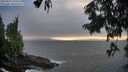 ./images/koeye/fitz-hugh/20250810/fitz-hugh20250810_194508M.jpg