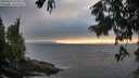 ./images/koeye/fitz-hugh/20250810/fitz-hugh20250810_195009M.jpg