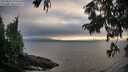 ./images/koeye/fitz-hugh/20250810/fitz-hugh20250810_195509M.jpg