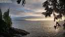./images/koeye/fitz-hugh/20250810/fitz-hugh20250810_200509M.jpg