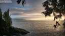 ./images/koeye/fitz-hugh/20250810/fitz-hugh20250810_201010M.jpg