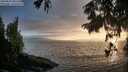 ./images/koeye/fitz-hugh/20250810/fitz-hugh20250810_201509M.jpg