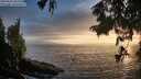 ./images/koeye/fitz-hugh/20250810/fitz-hugh20250810_202009M.jpg