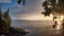 ./images/koeye/fitz-hugh/20250810/fitz-hugh20250810_202509M.jpg