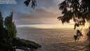 ./images/koeye/fitz-hugh/20250810/fitz-hugh20250810_203010M.jpg
