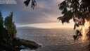 ./images/koeye/fitz-hugh/20250810/fitz-hugh20250810_203507M.jpg