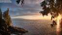 ./images/koeye/fitz-hugh/20250810/fitz-hugh20250810_204009M.jpg