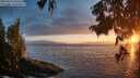 ./images/koeye/fitz-hugh/20250810/fitz-hugh20250810_204508M.jpg