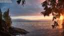 ./images/koeye/fitz-hugh/20250810/fitz-hugh20250810_205009M.jpg