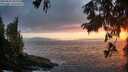 ./images/koeye/fitz-hugh/20250810/fitz-hugh20250810_205509M.jpg