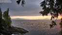 ./images/koeye/fitz-hugh/20250810/fitz-hugh20250810_210505M.jpg