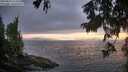 ./images/koeye/fitz-hugh/20250810/fitz-hugh20250810_211009M.jpg