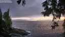 ./images/koeye/fitz-hugh/20250810/fitz-hugh20250810_211509M.jpg