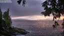 ./images/koeye/fitz-hugh/20250810/fitz-hugh20250810_212009M.jpg