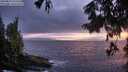 ./images/koeye/fitz-hugh/20250810/fitz-hugh20250810_212509M.jpg