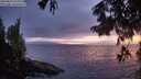 ./images/koeye/fitz-hugh/20250810/fitz-hugh20250810_213009M.jpg