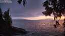./images/koeye/fitz-hugh/20250810/fitz-hugh20250810_213509M.jpg