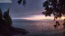 ./images/koeye/fitz-hugh/20250810/fitz-hugh20250810_214009M.jpg