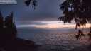 ./images/koeye/fitz-hugh/20250810/fitz-hugh20250810_214509M.jpg