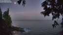 ./images/koeye/fitz-hugh/20250811/fitz-hugh20250811_053509M.jpg