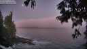 ./images/koeye/fitz-hugh/20250811/fitz-hugh20250811_054509M.jpg
