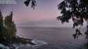 ./images/koeye/fitz-hugh/20250811/fitz-hugh20250811_055509M.jpg