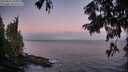 ./images/koeye/fitz-hugh/20250811/fitz-hugh20250811_060010M.jpg