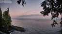 ./images/koeye/fitz-hugh/20250811/fitz-hugh20250811_060508M.jpg