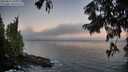 ./images/koeye/fitz-hugh/20250811/fitz-hugh20250811_061011M.jpg
