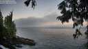 ./images/koeye/fitz-hugh/20250811/fitz-hugh20250811_062011M.jpg