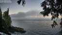 ./images/koeye/fitz-hugh/20250811/fitz-hugh20250811_062511M.jpg