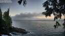./images/koeye/fitz-hugh/20250811/fitz-hugh20250811_063011M.jpg