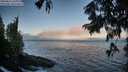 ./images/koeye/fitz-hugh/20250811/fitz-hugh20250811_064011M.jpg