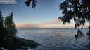 ./images/koeye/fitz-hugh/20250811/fitz-hugh20250811_065509M.jpg