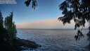 ./images/koeye/fitz-hugh/20250811/fitz-hugh20250811_071010M.jpg