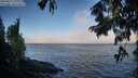 ./images/koeye/fitz-hugh/20250811/fitz-hugh20250811_073011M.jpg
