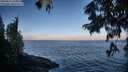 ./images/koeye/fitz-hugh/20250811/fitz-hugh20250811_074011M.jpg