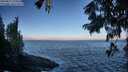 ./images/koeye/fitz-hugh/20250811/fitz-hugh20250811_074508M.jpg
