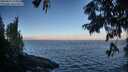 ./images/koeye/fitz-hugh/20250811/fitz-hugh20250811_075009M.jpg