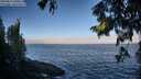./images/koeye/fitz-hugh/20250811/fitz-hugh20250811_080509M.jpg