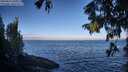 ./images/koeye/fitz-hugh/20250811/fitz-hugh20250811_081010M.jpg