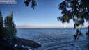 ./images/koeye/fitz-hugh/20250811/fitz-hugh20250811_081511M.jpg