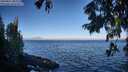 ./images/koeye/fitz-hugh/20250811/fitz-hugh20250811_082011M.jpg
