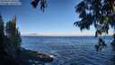 ./images/koeye/fitz-hugh/20250811/fitz-hugh20250811_082511M.jpg