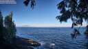 ./images/koeye/fitz-hugh/20250811/fitz-hugh20250811_083012M.jpg